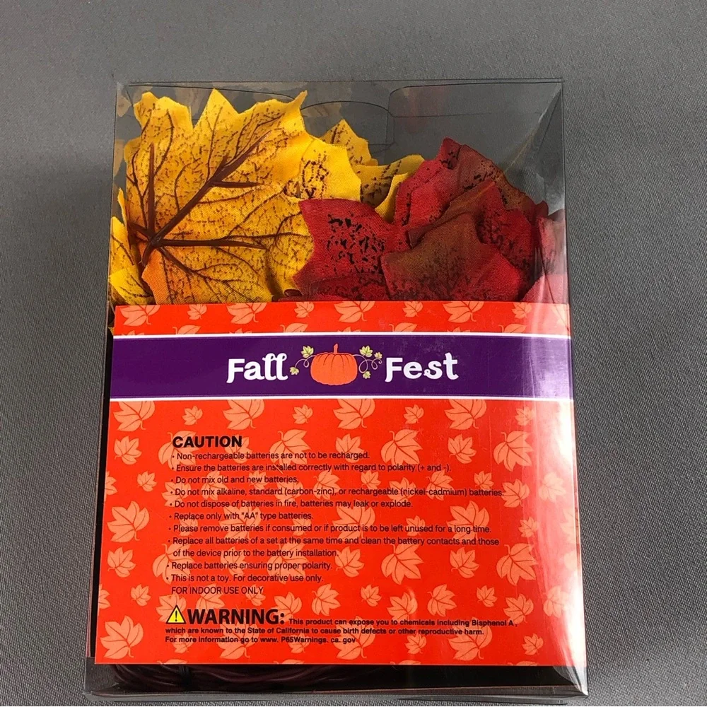 Fall Fest 20 Count Battery Operated LED Lights 2pck